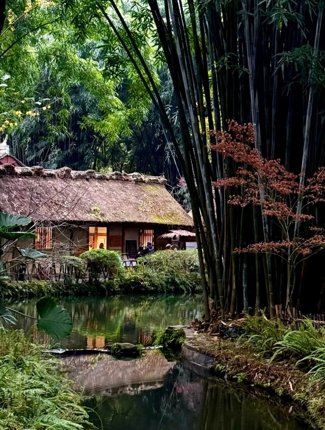Du Fu Thatched Cottage photo 4