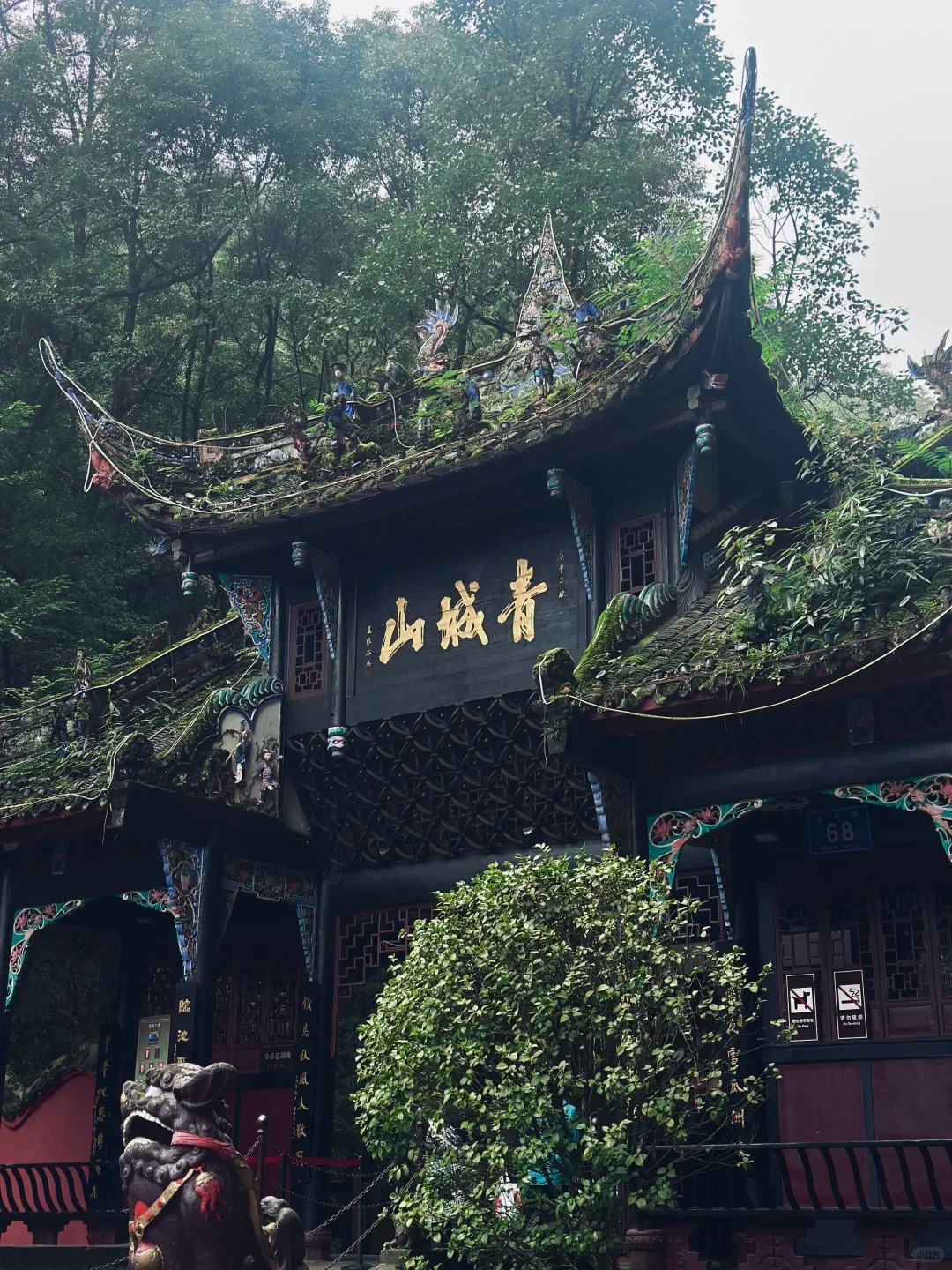 Mount Qingcheng photo 4